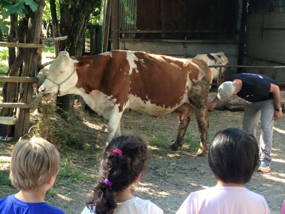 Agriturismo Da Baffone Santo Stefano del Sole Dış mekan fotoğraf